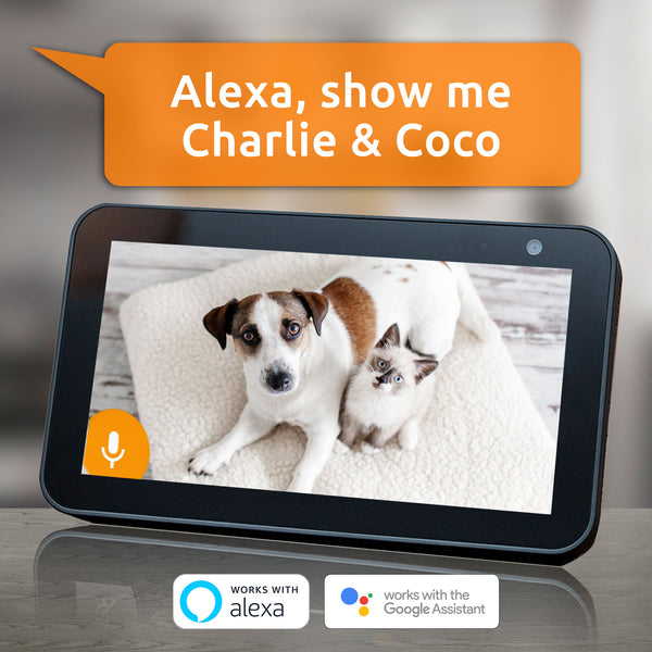Celebrate National Pet Day with the ultimate pet cam!