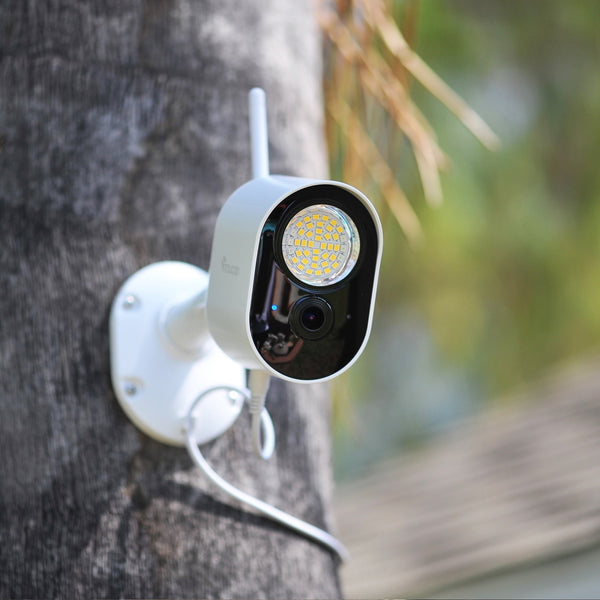 How Toucan Smart Home Can Stop Car Theft in Its Tracks